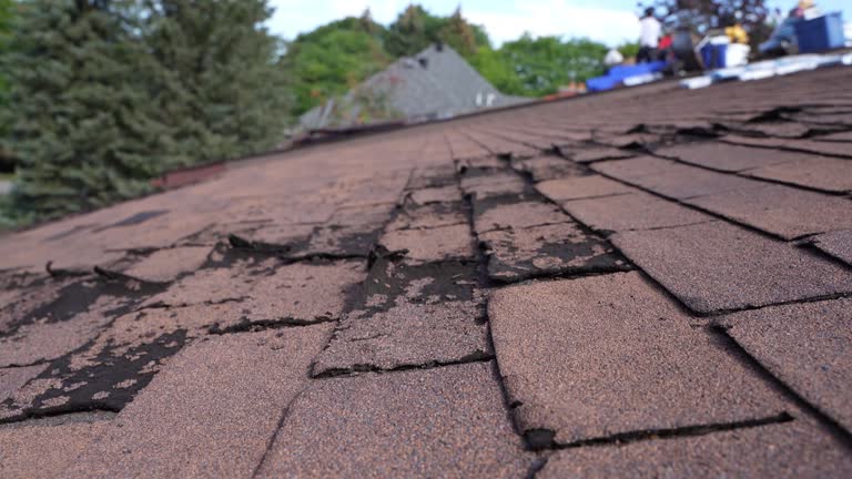 Best Roof Maintenance and Cleaning  in Bessemer, AL
