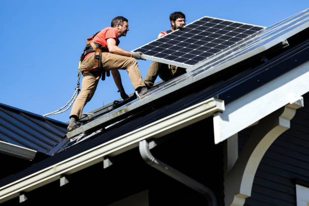 Best Roof Moss and Algae Removal  in Bessemer, AL