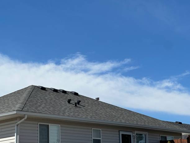 Best Green or Eco-Friendly Roofing Solutions  in Bessemer, AL